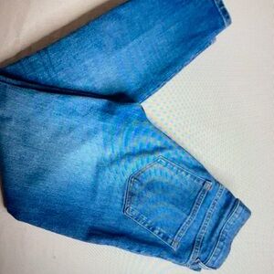 Everlane high waist tapered leg jean size 27